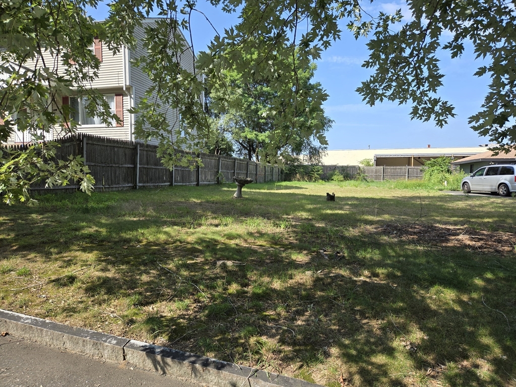 a view of a backyard with large trees