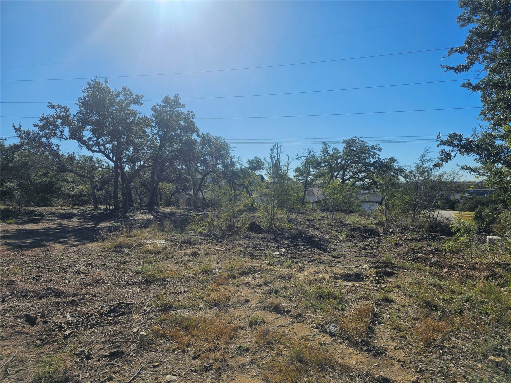 a view of a yard with trees in front of it