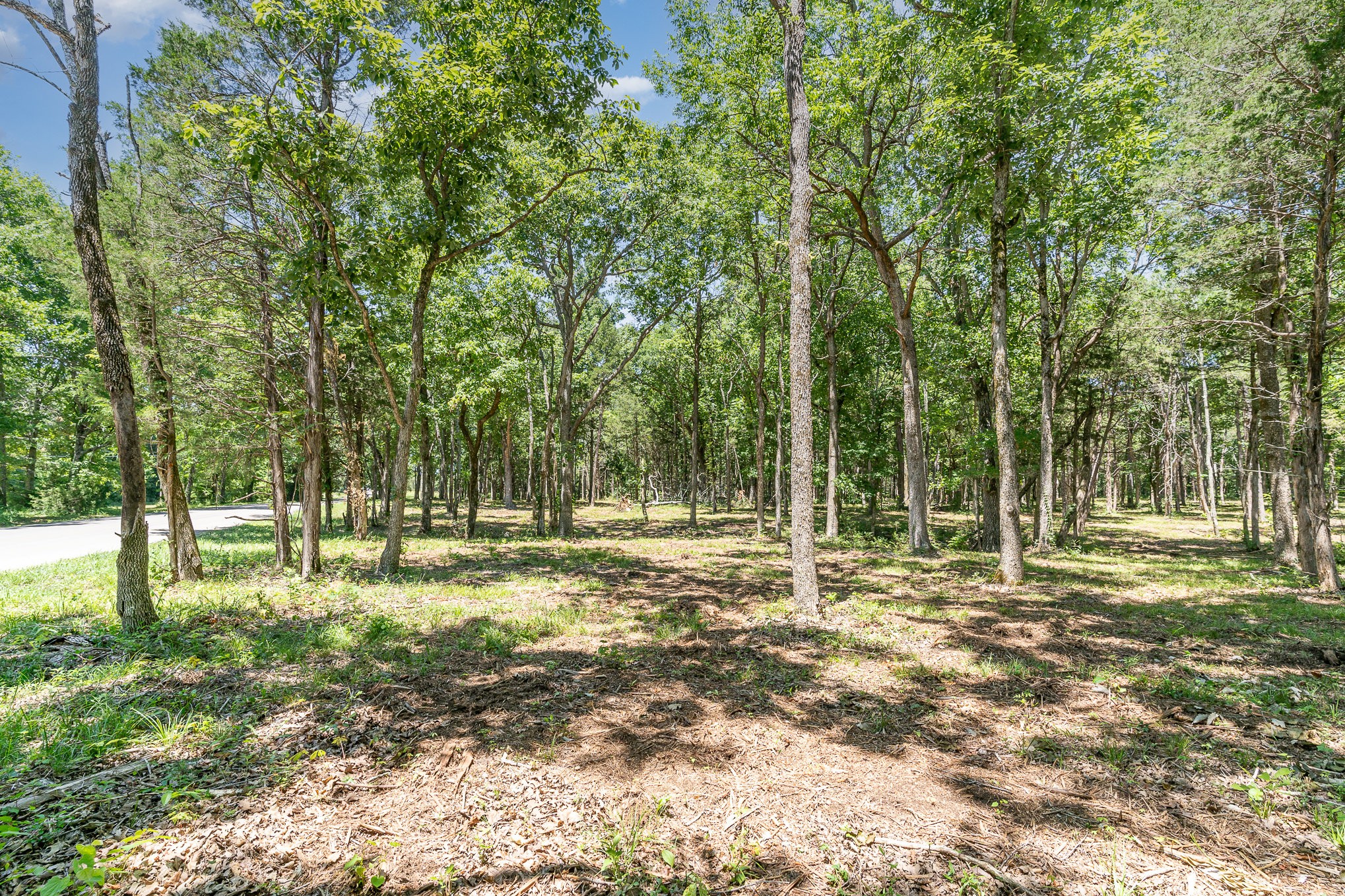 a yard with trees in the background