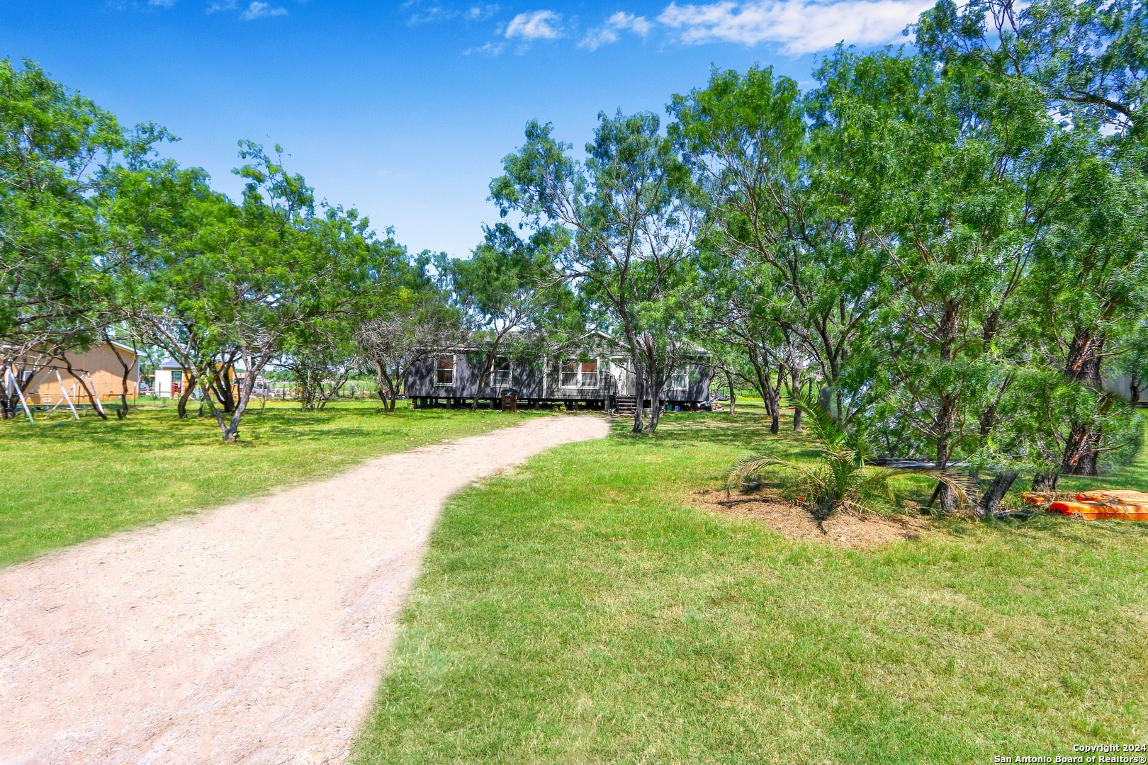 a view of a park with large trees