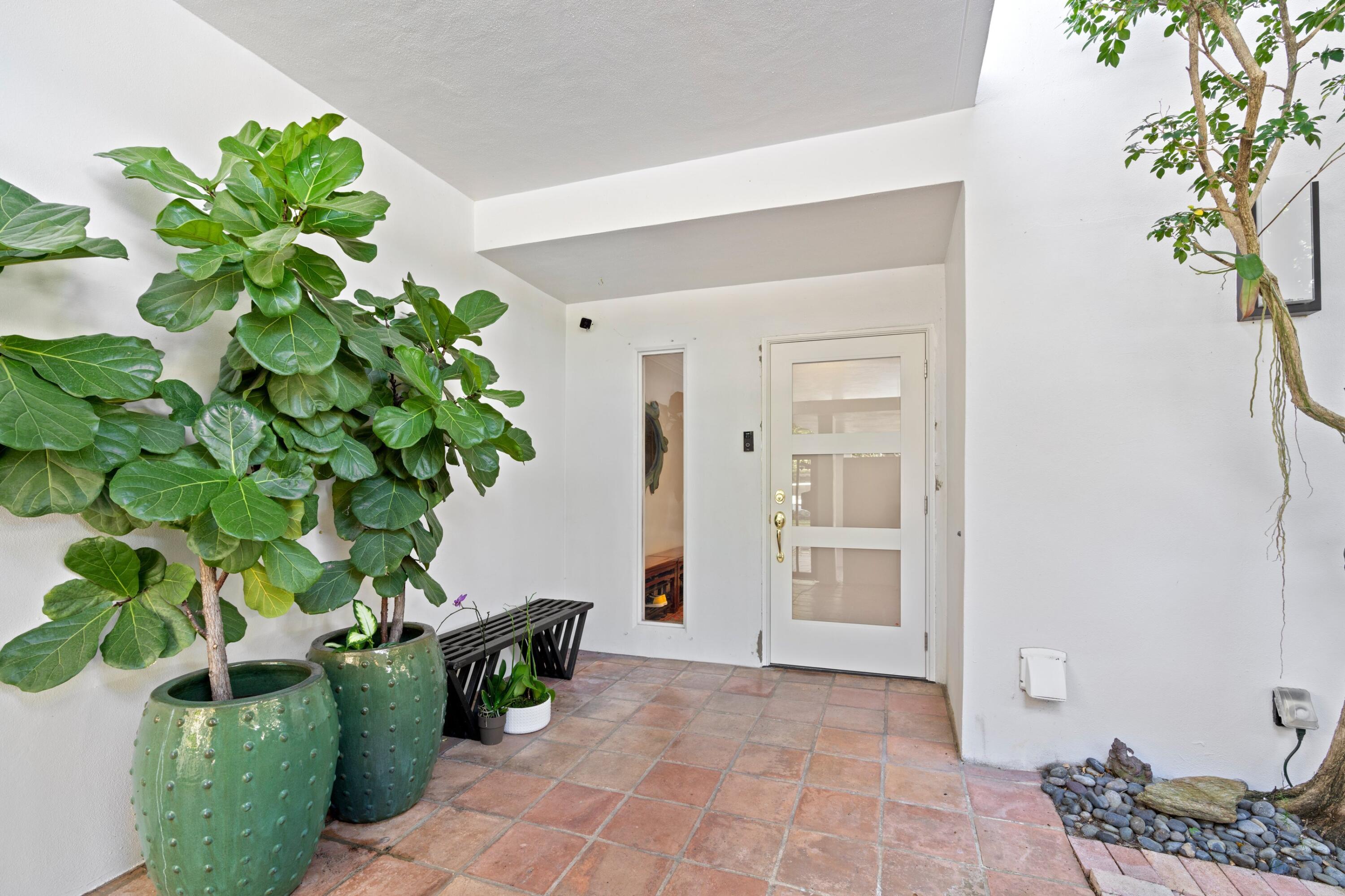 a potted plant sitting in front of a house