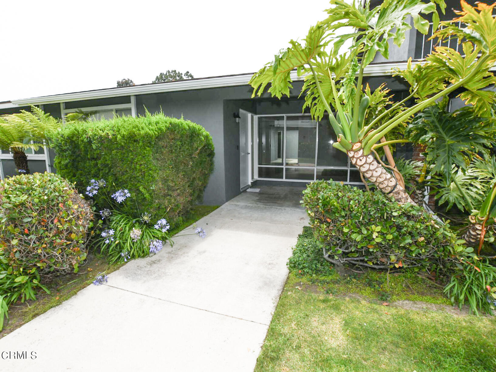 a backyard of a house with plants and garden