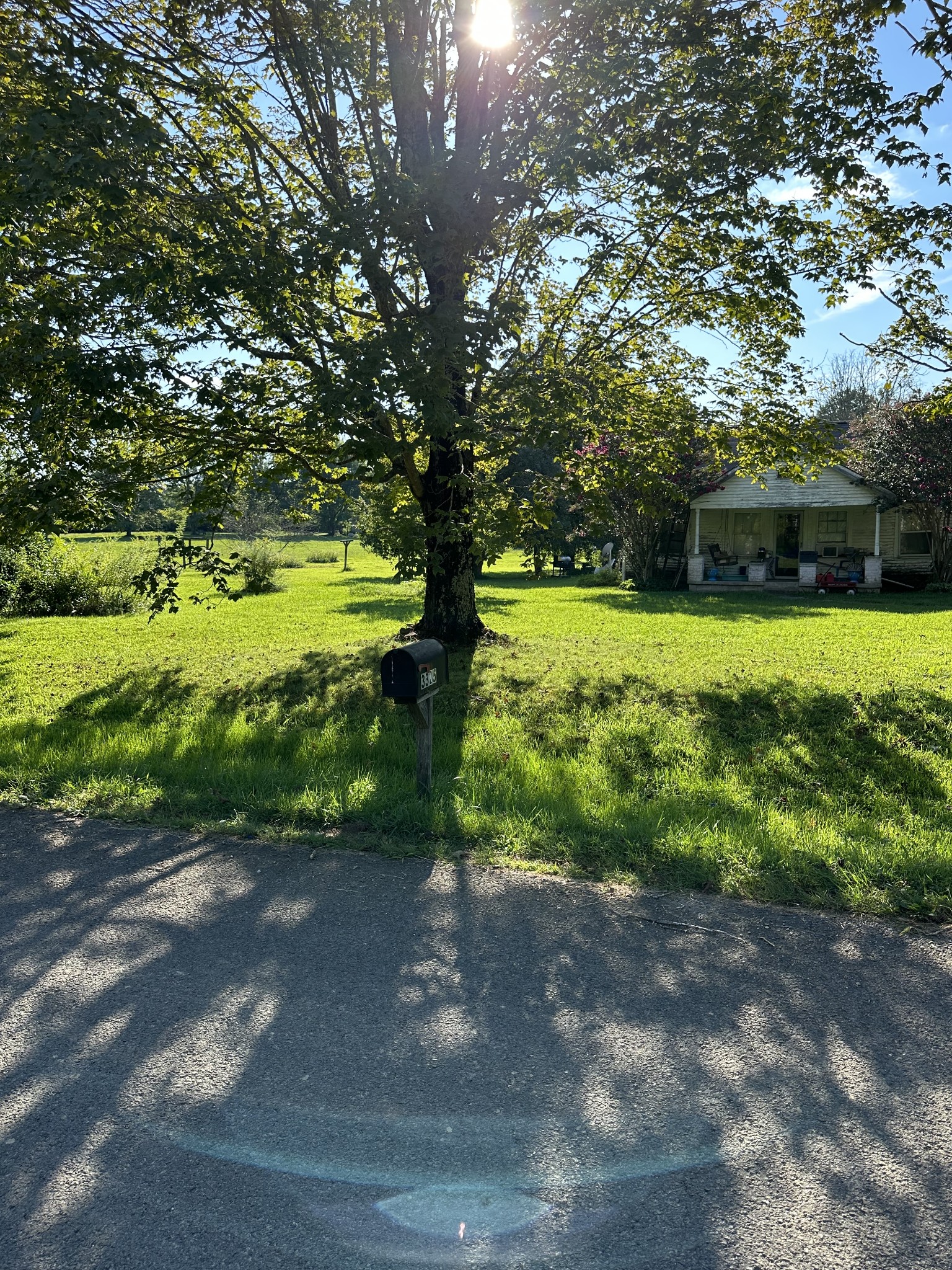 a view of an outdoor space and a yard