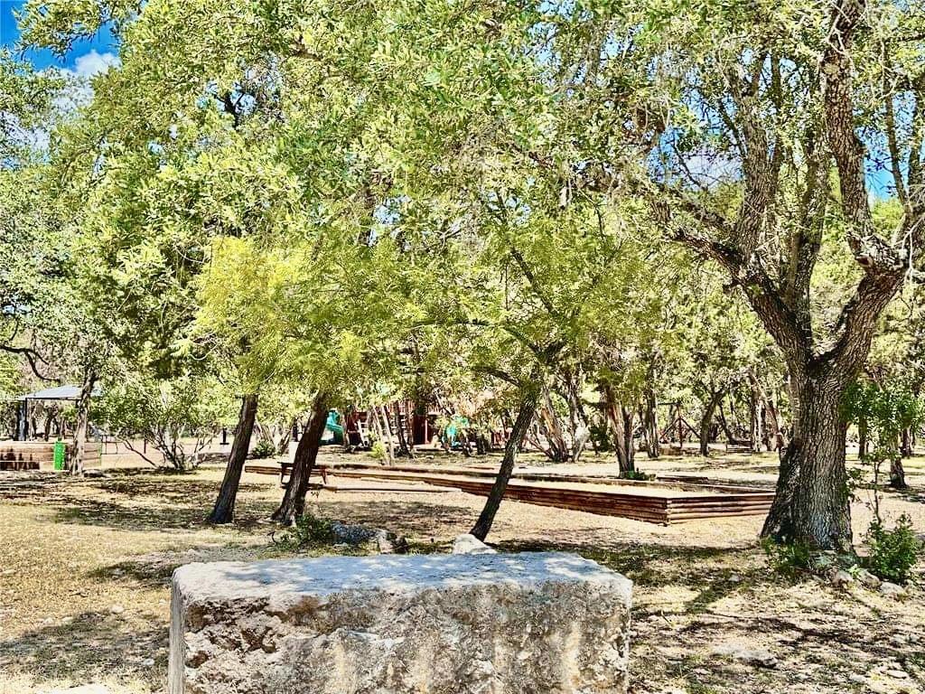 a view of backyard of the house