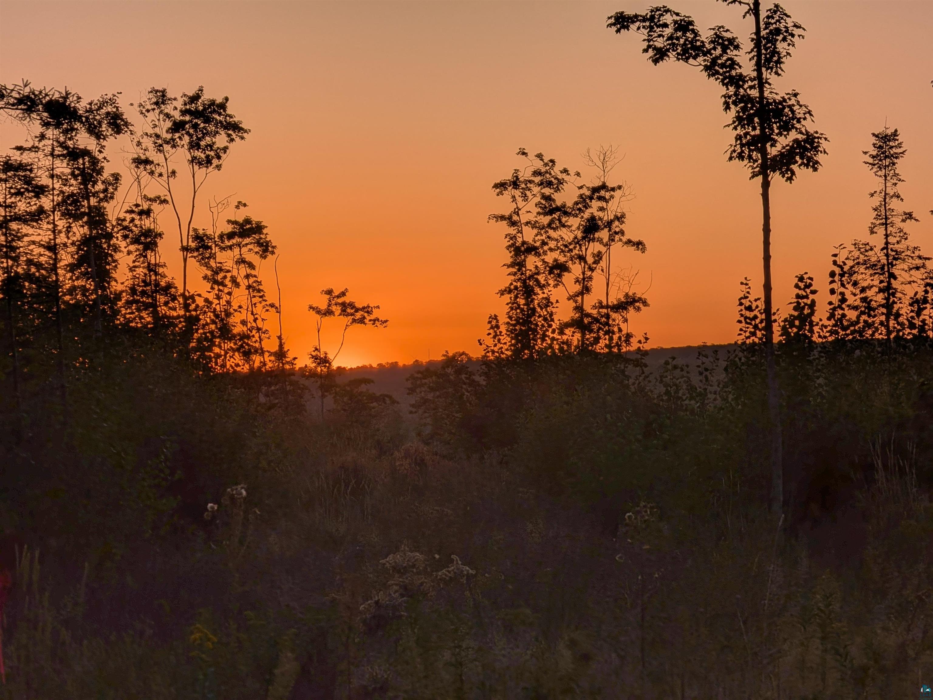 View of nature at dusk