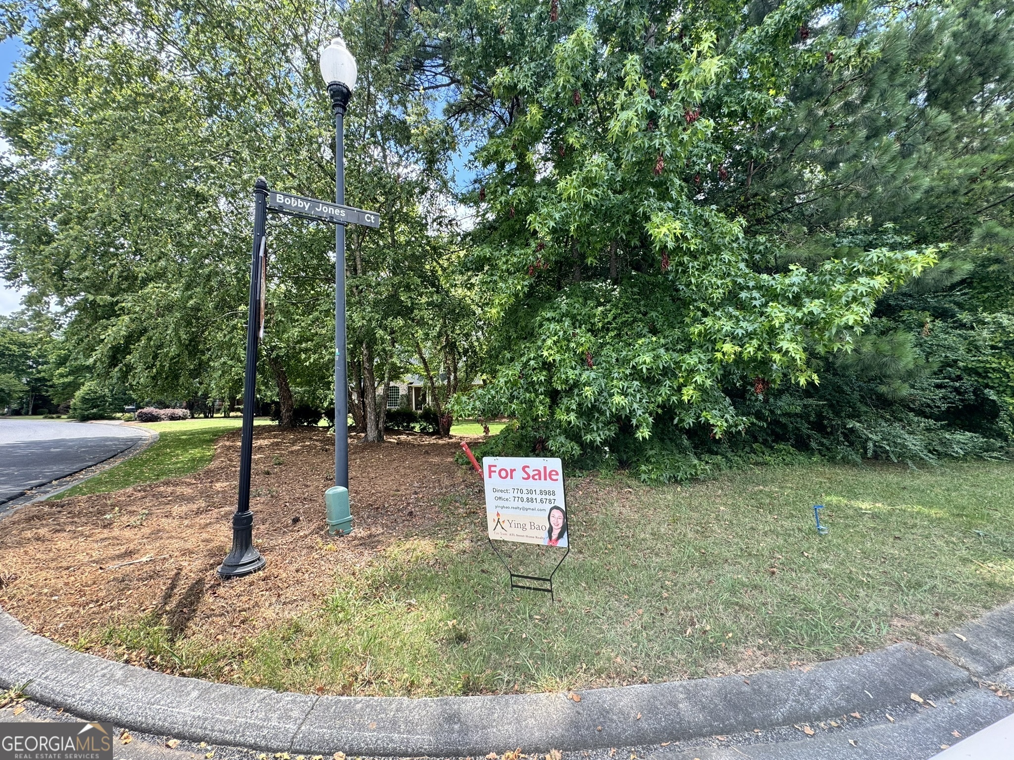 a view of a park with large trees