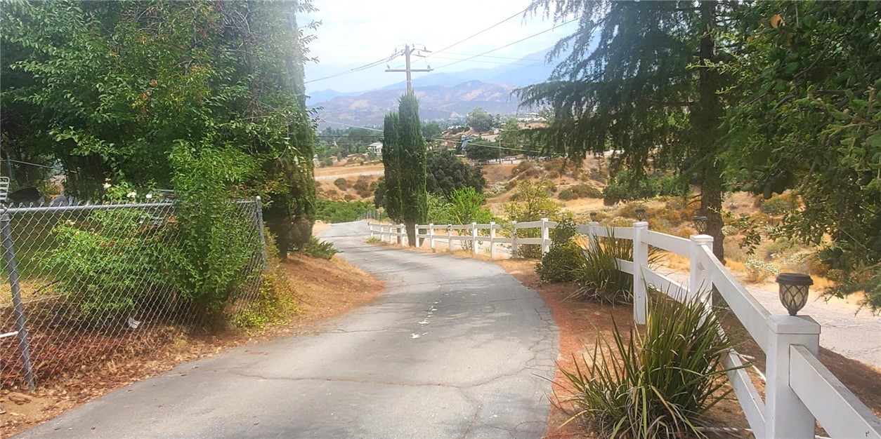 a view of a yard with plants and large trees