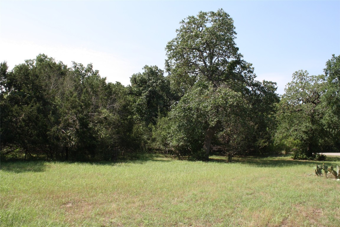 a view of backyard with green space