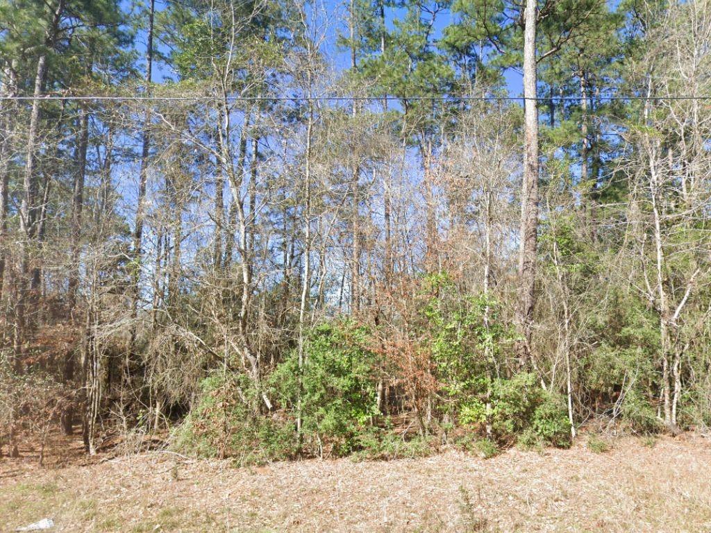 a view of a backyard of the house