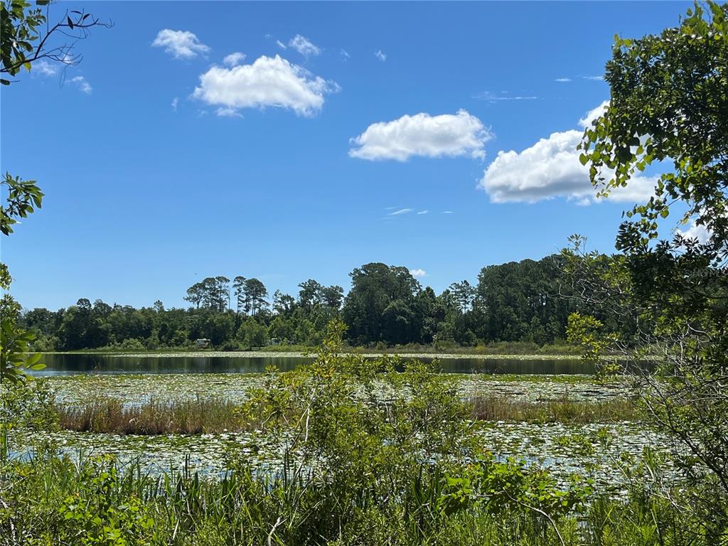 a view of a lake with a yard