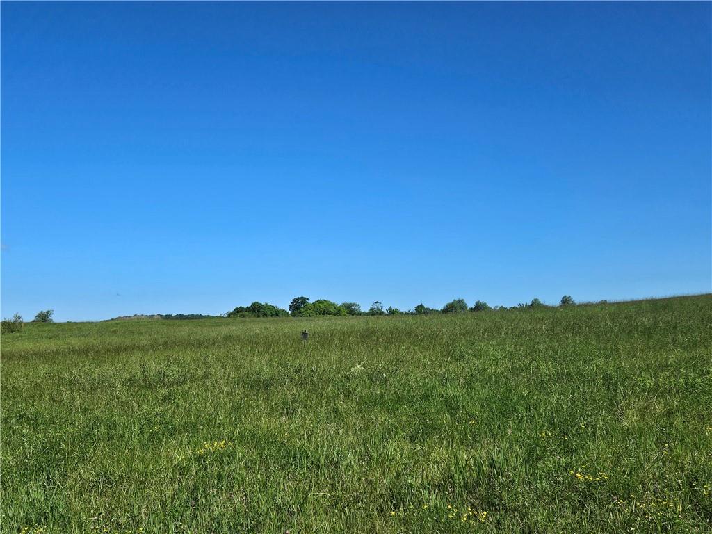 a view of a grassy field with two of trees