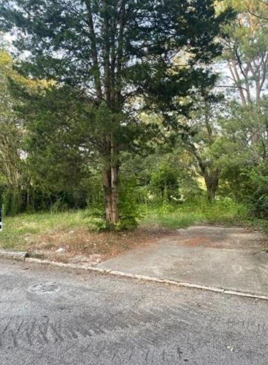 a view of a yard with a tree