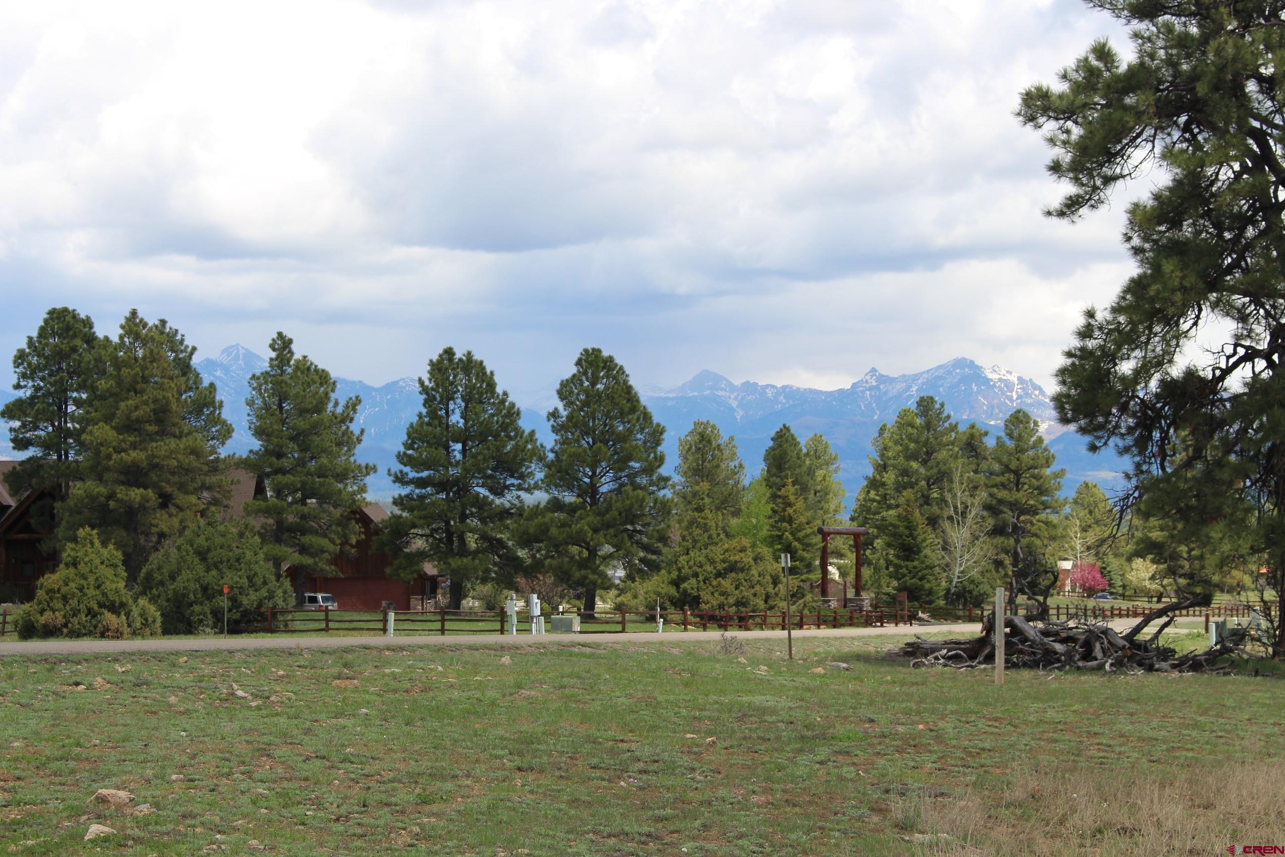 a view of a grassy field with trees in the background