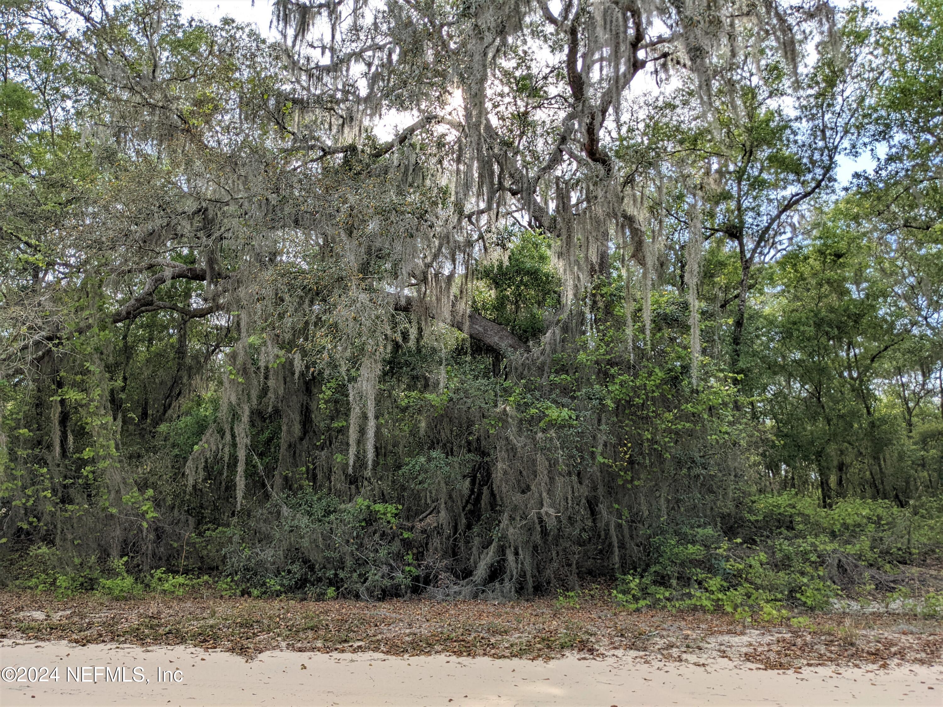 a view of a yard with trees