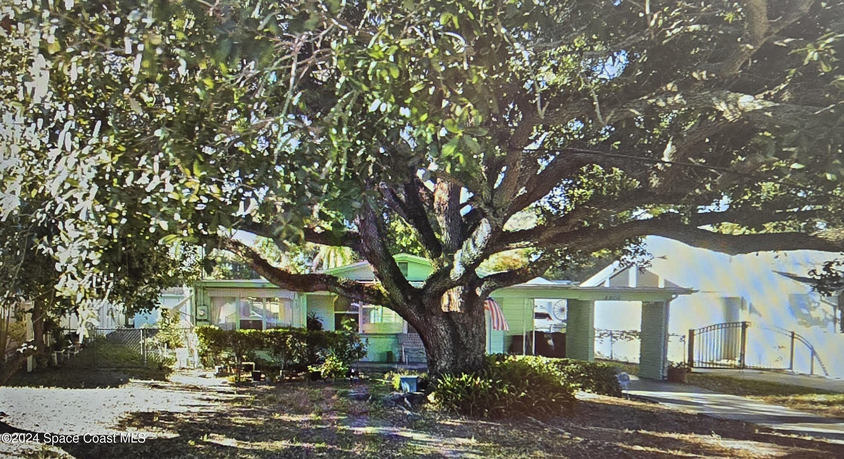 front view of a house with a tree