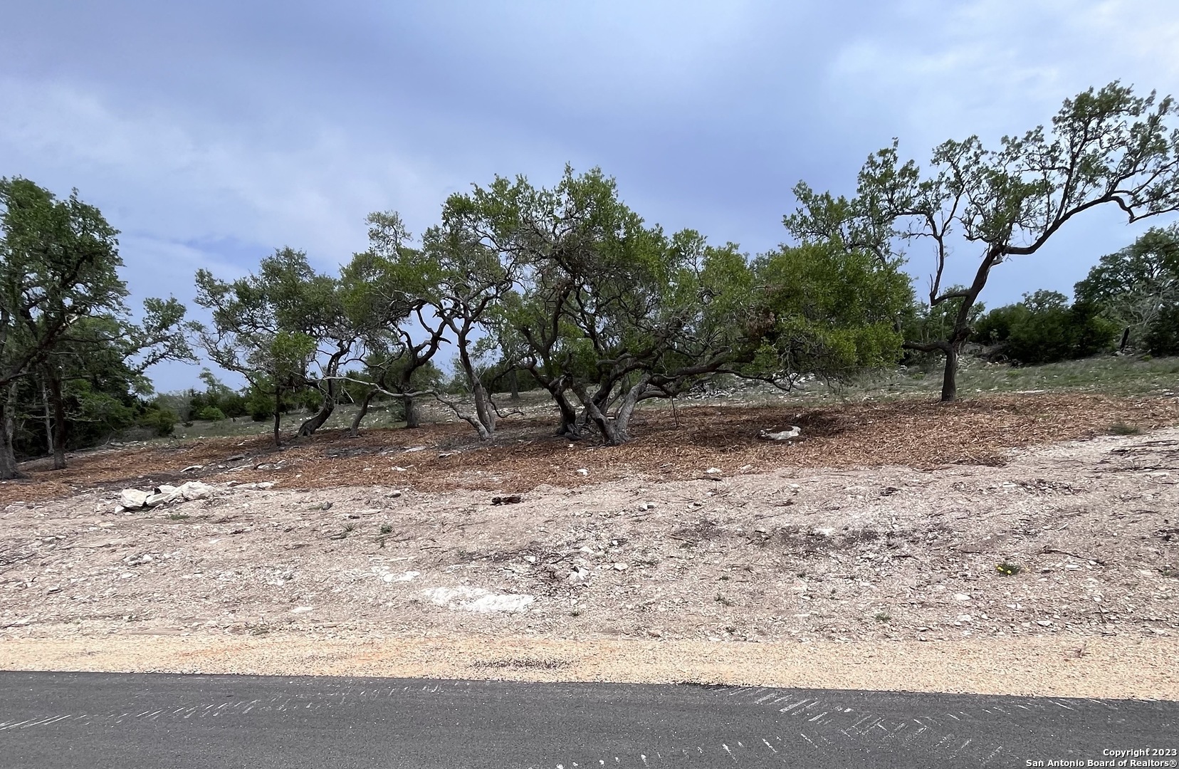 a view of a yard with a tree