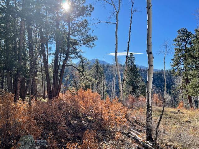 $400,000 | Tbd Sky Mountain Ranch Road | Gracie Sky Mountain Ranch