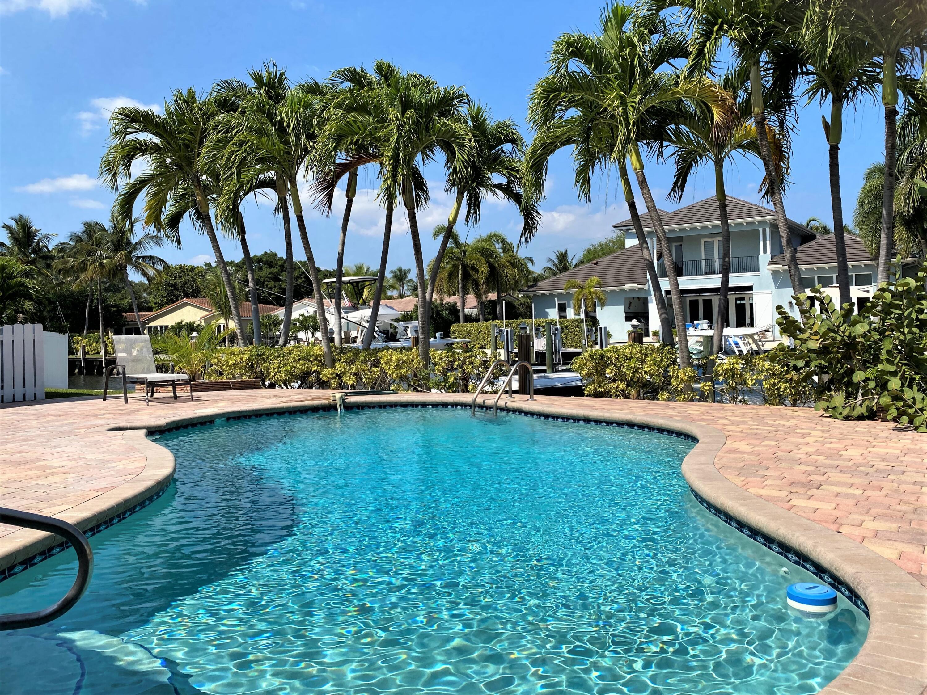 Freeform Pool Backyard