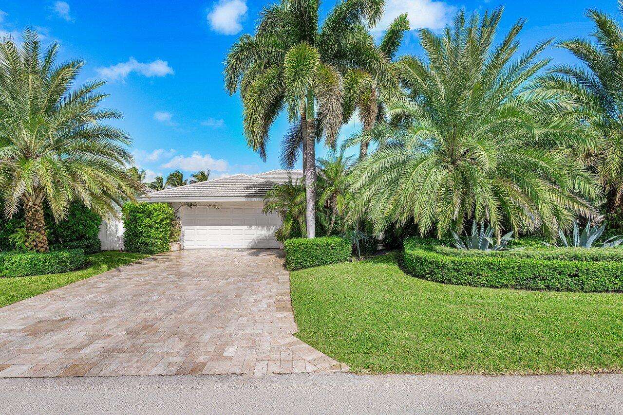 a view of a backyard with a plants and palm trees