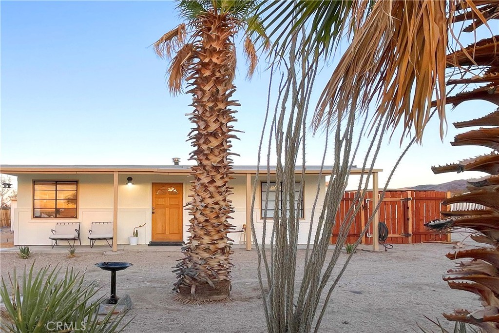 a view of a backyard with plants and patio