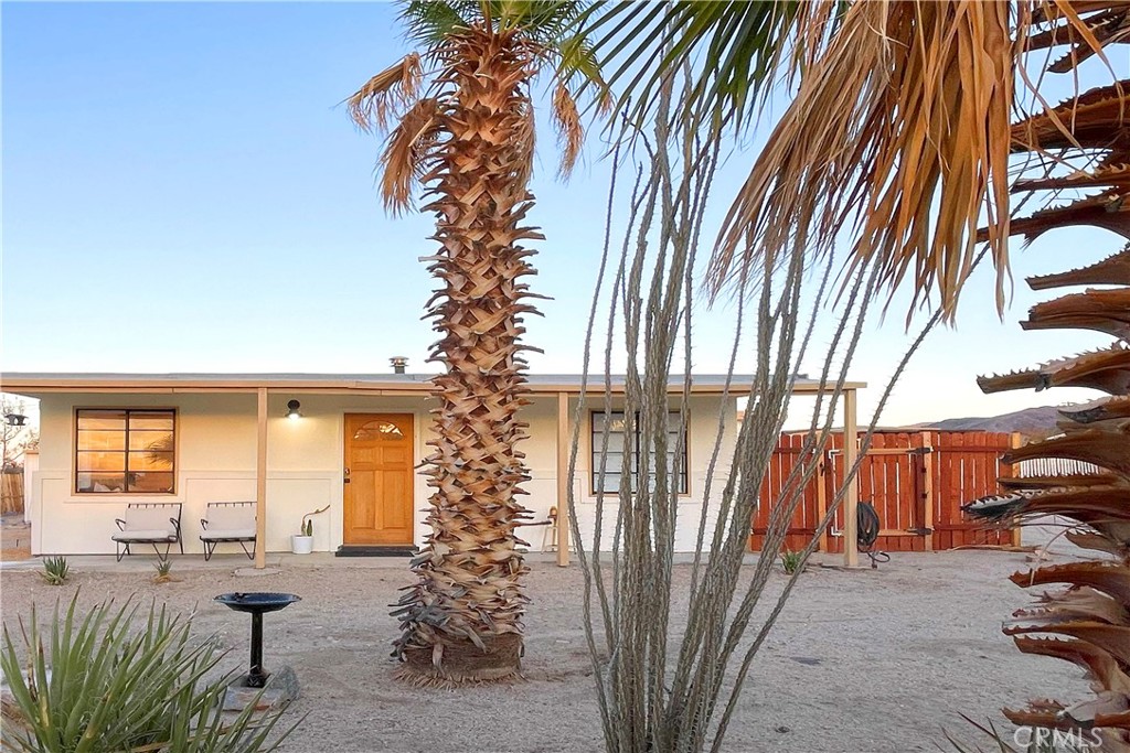 a view of a backyard with plants and patio