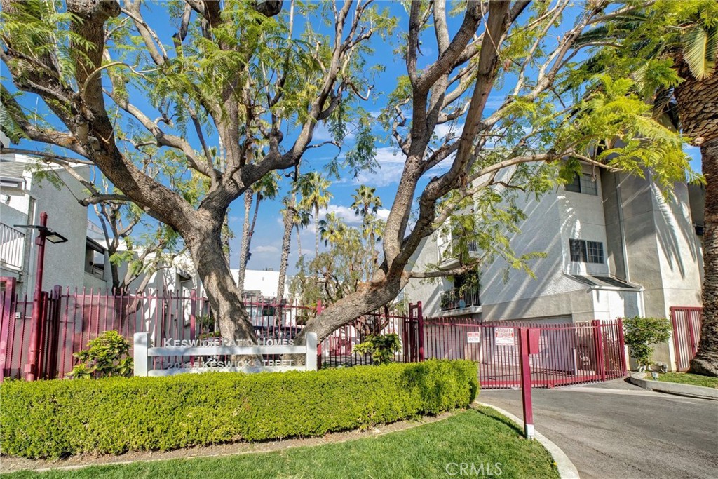 a view of a yard in front of a building