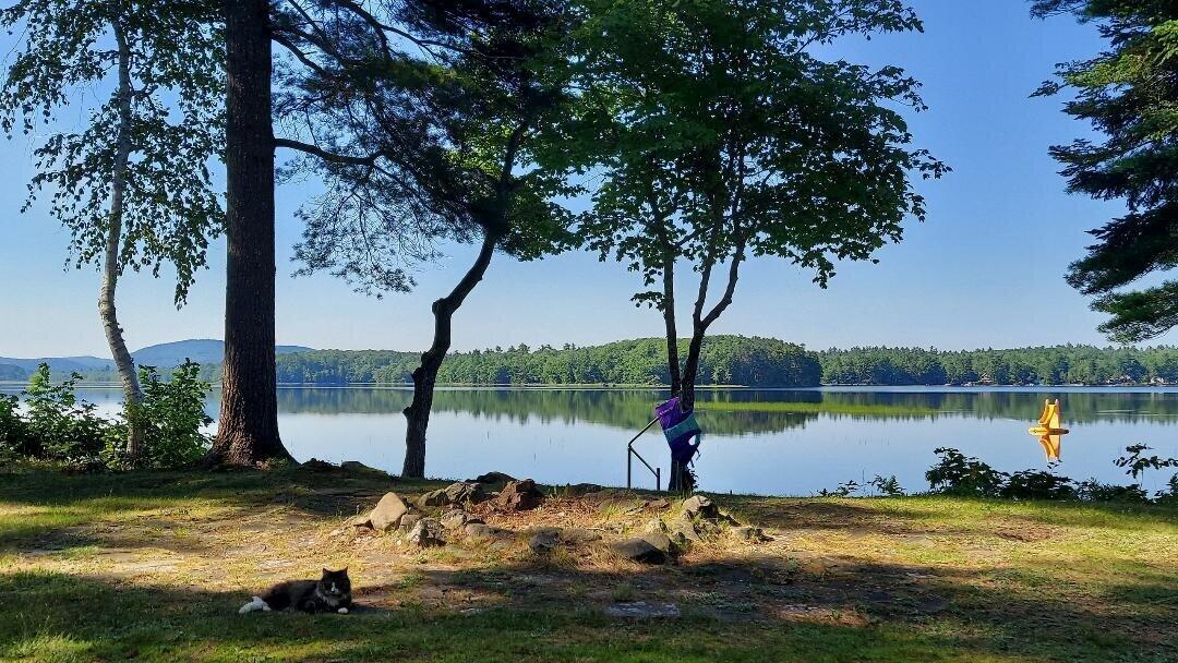 Gorgeous summer day