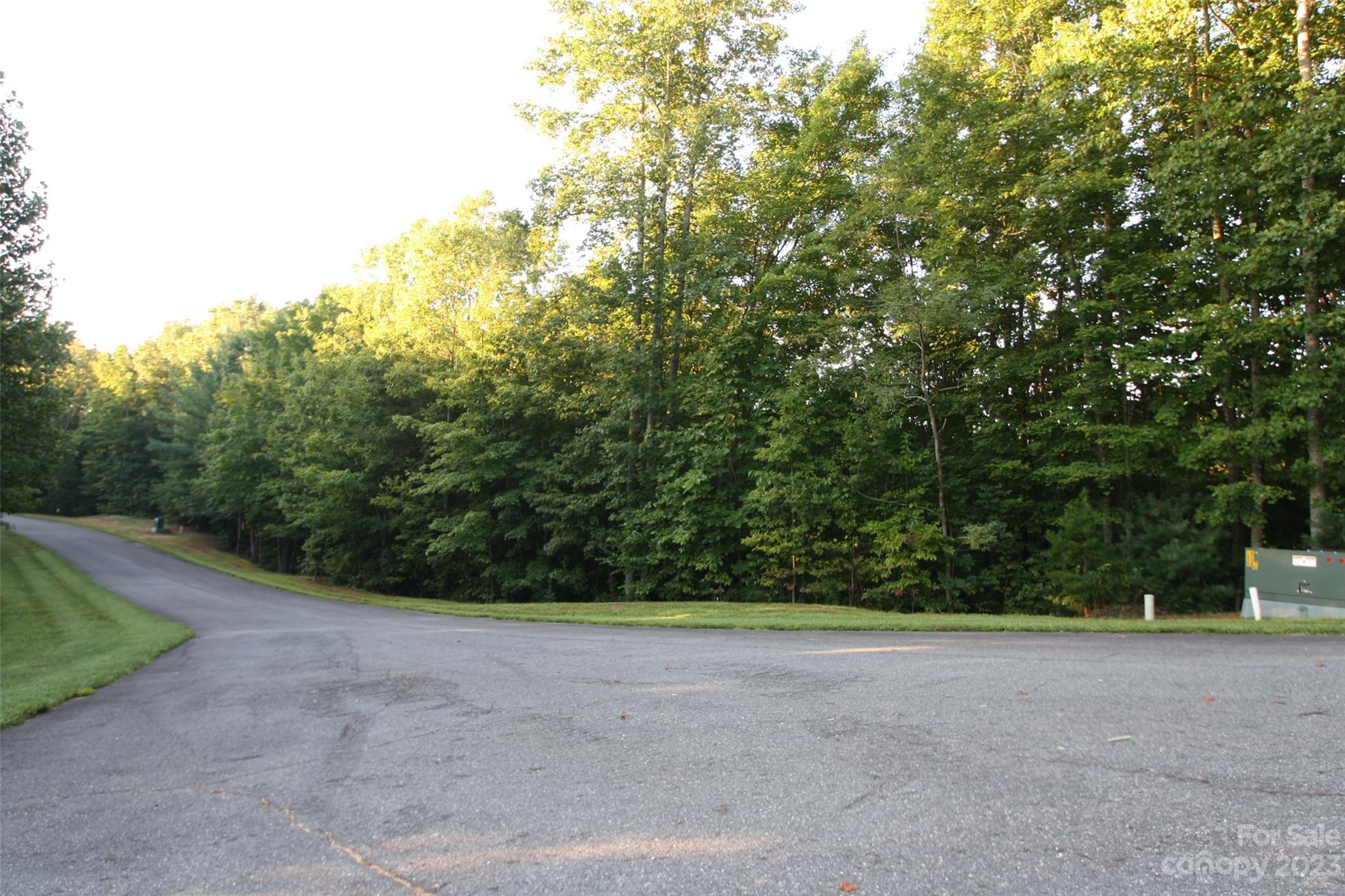 a view of a field with trees in background