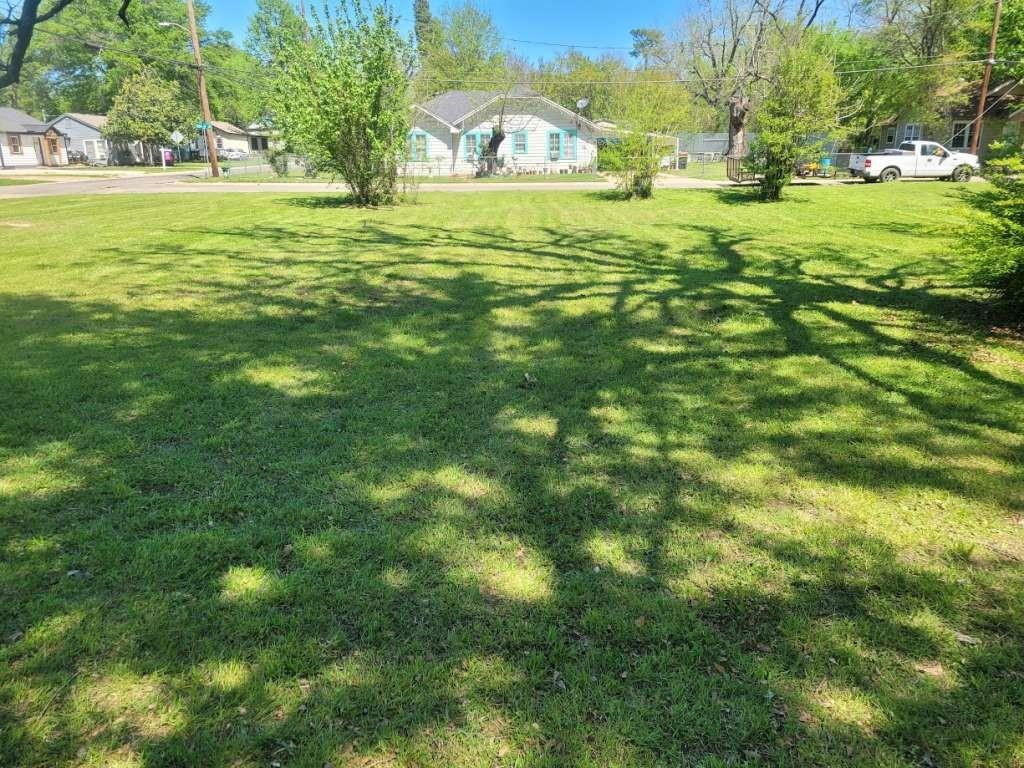 a view of a grassy area with an trees