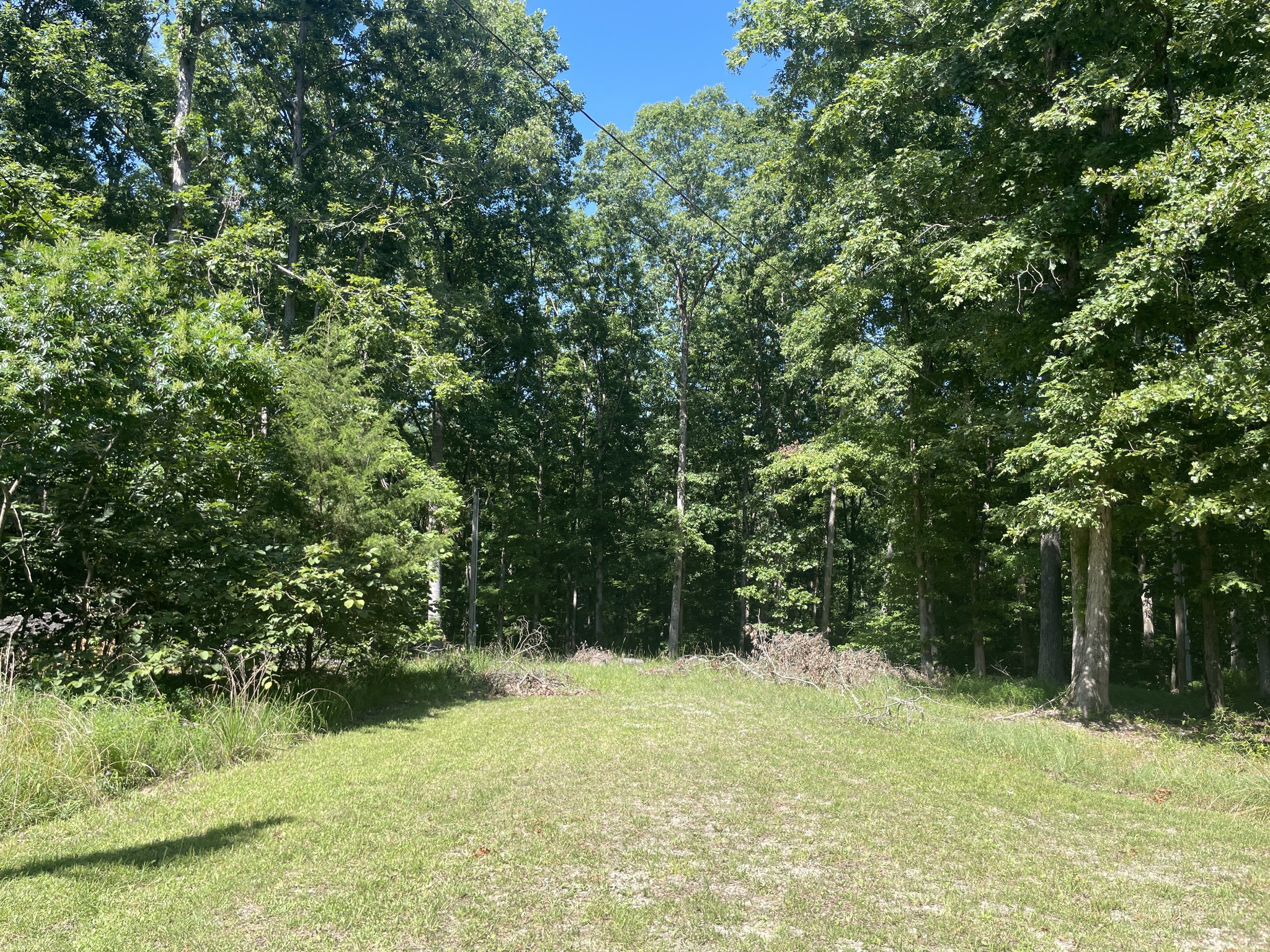 a view of outdoor space and yard