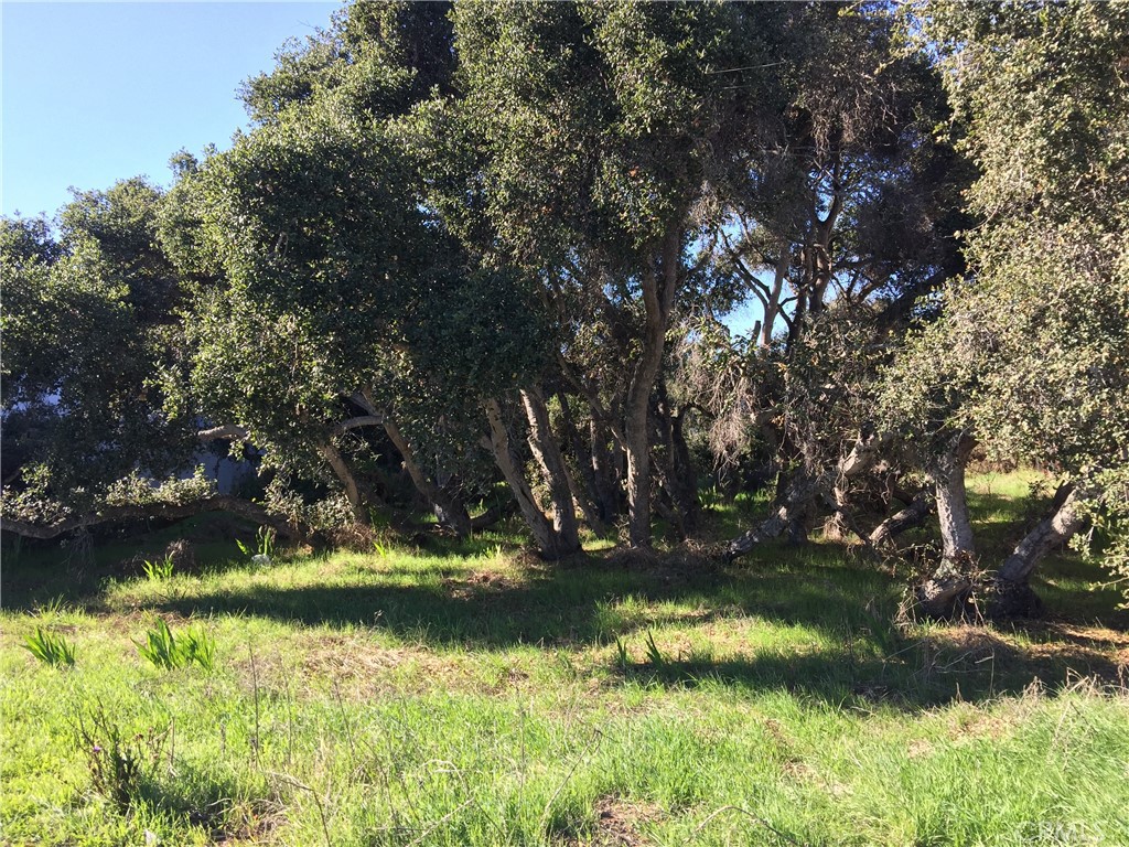 a view of yard with green space