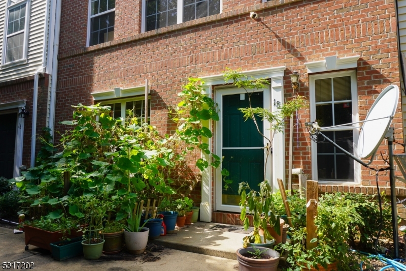 a view of a garden with potted plants