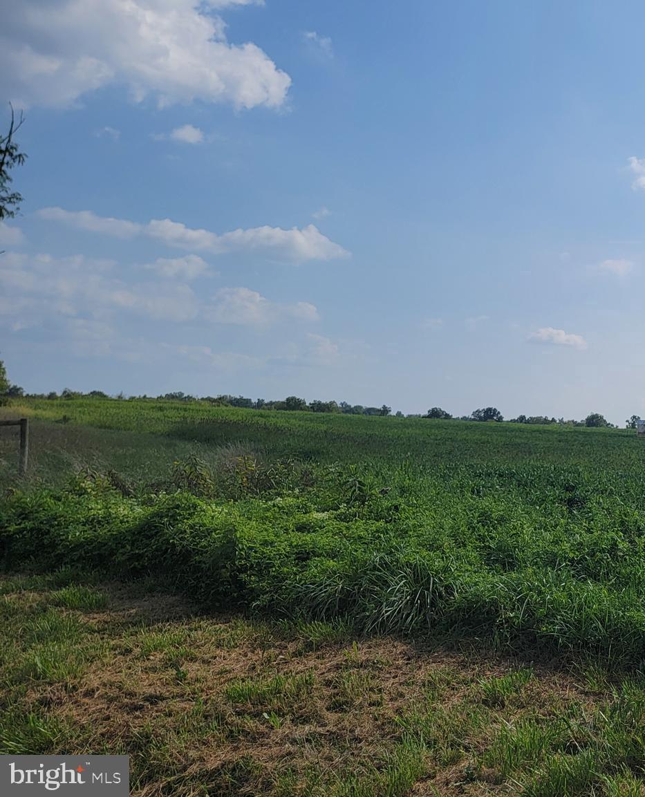 a view of a lake with a field