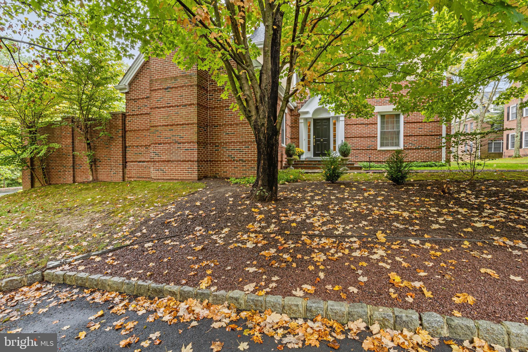 a view of a backyard with pathway