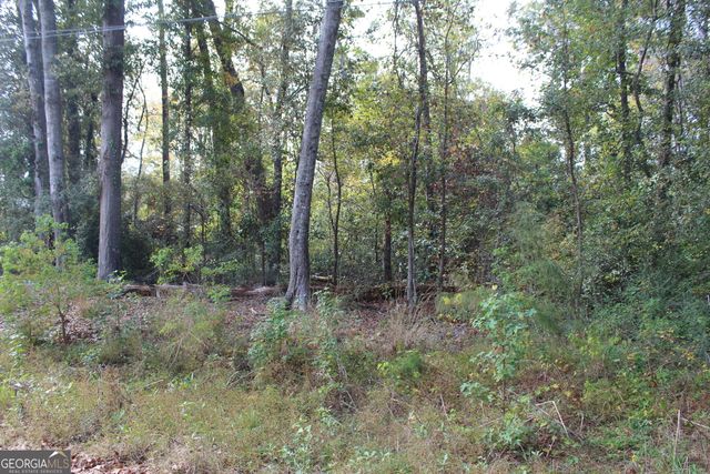 $10,000 | 0 Harden Road | Statesboro