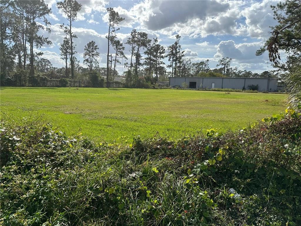 a view of a big yard with lots of green space