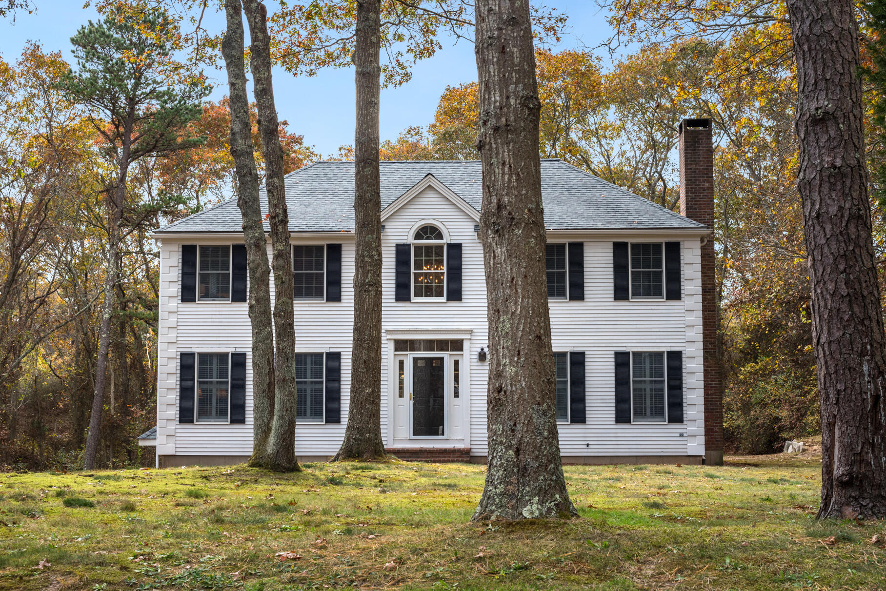 a house that has a large tree in front of it