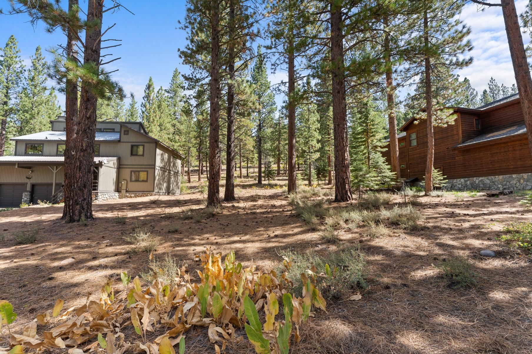 a backyard of a house with large trees and outdoor space