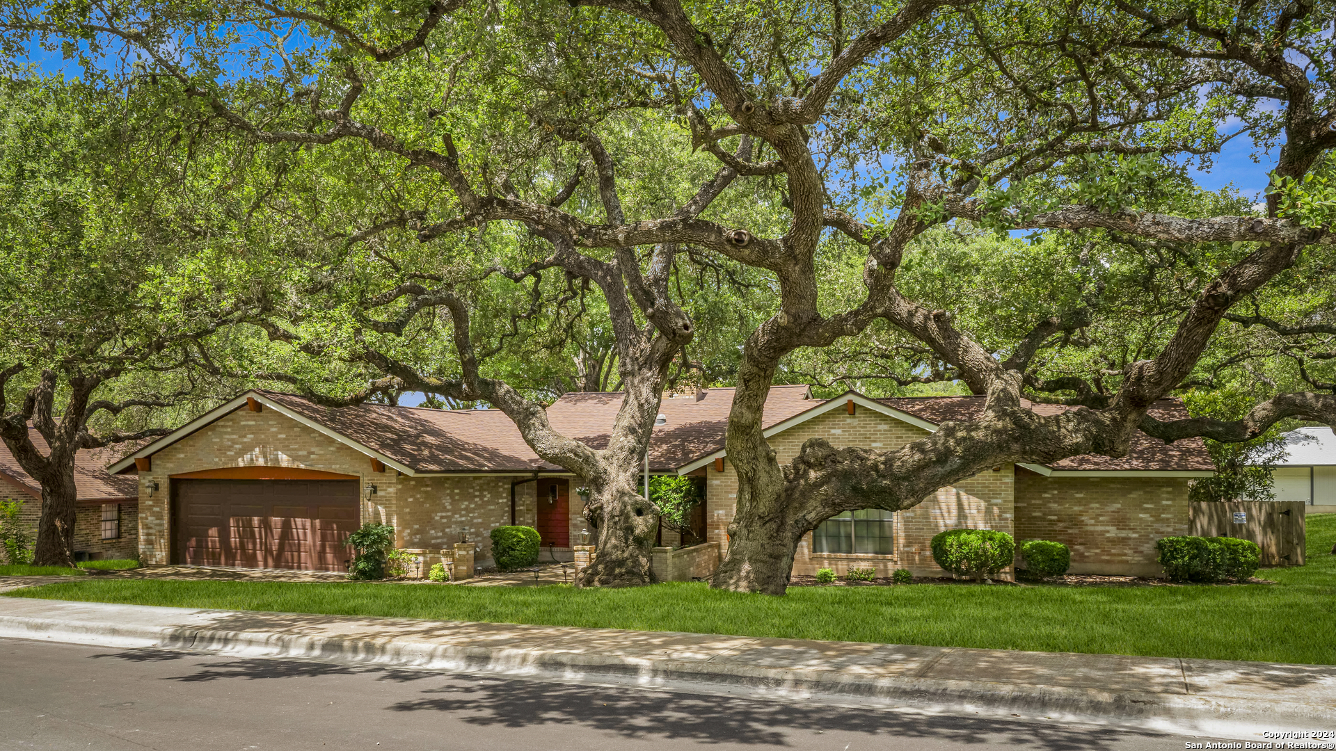 a view of a large trees with a big yard and large trees