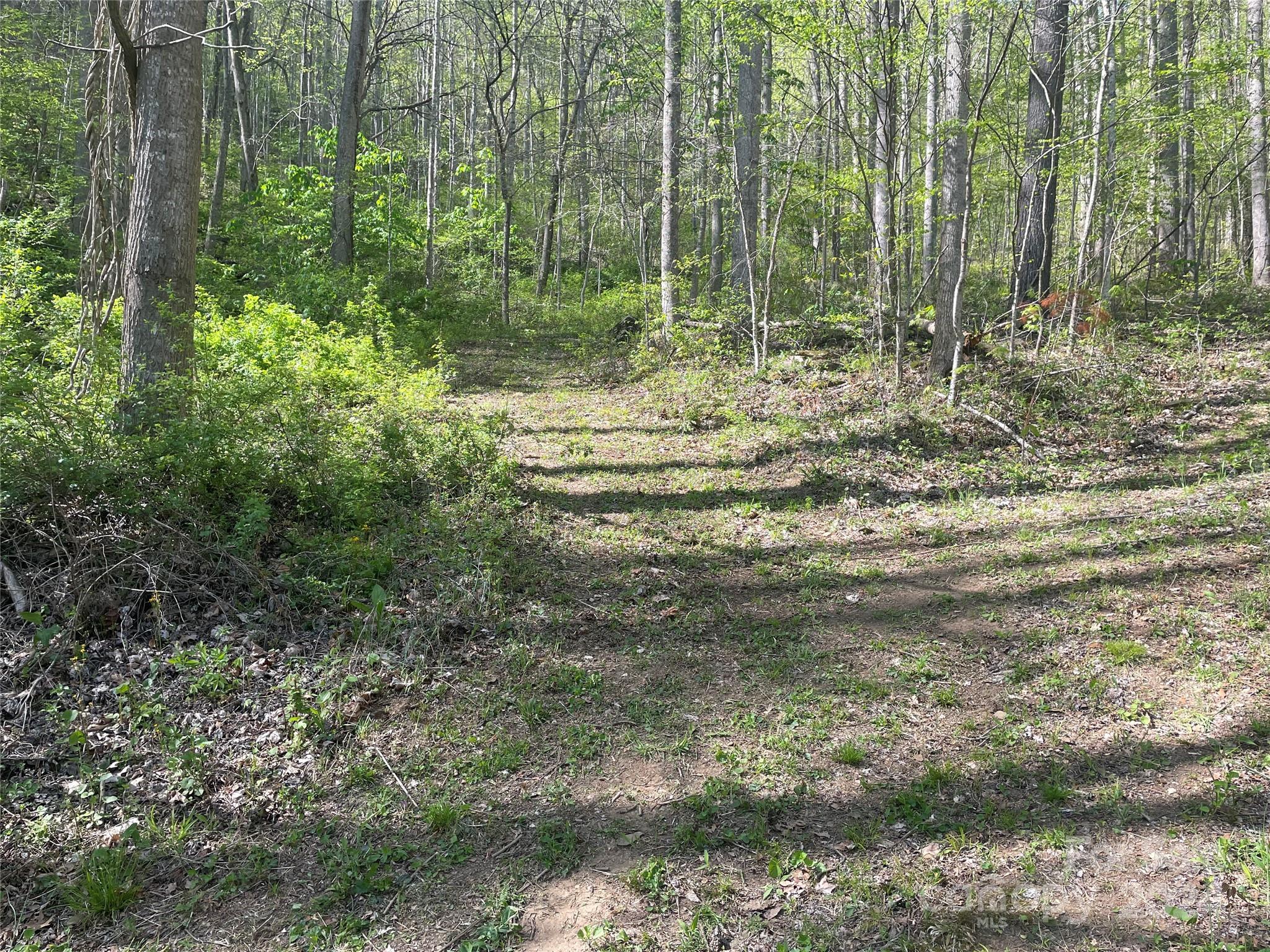 a view of outdoor space and garden