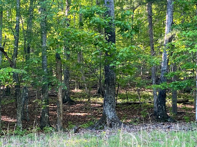 $5,000 | Lot 695 Rockview Dr Spring