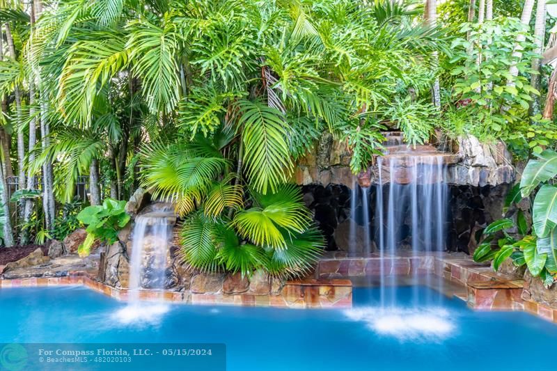 a view of a backyard with potted plants and large trees