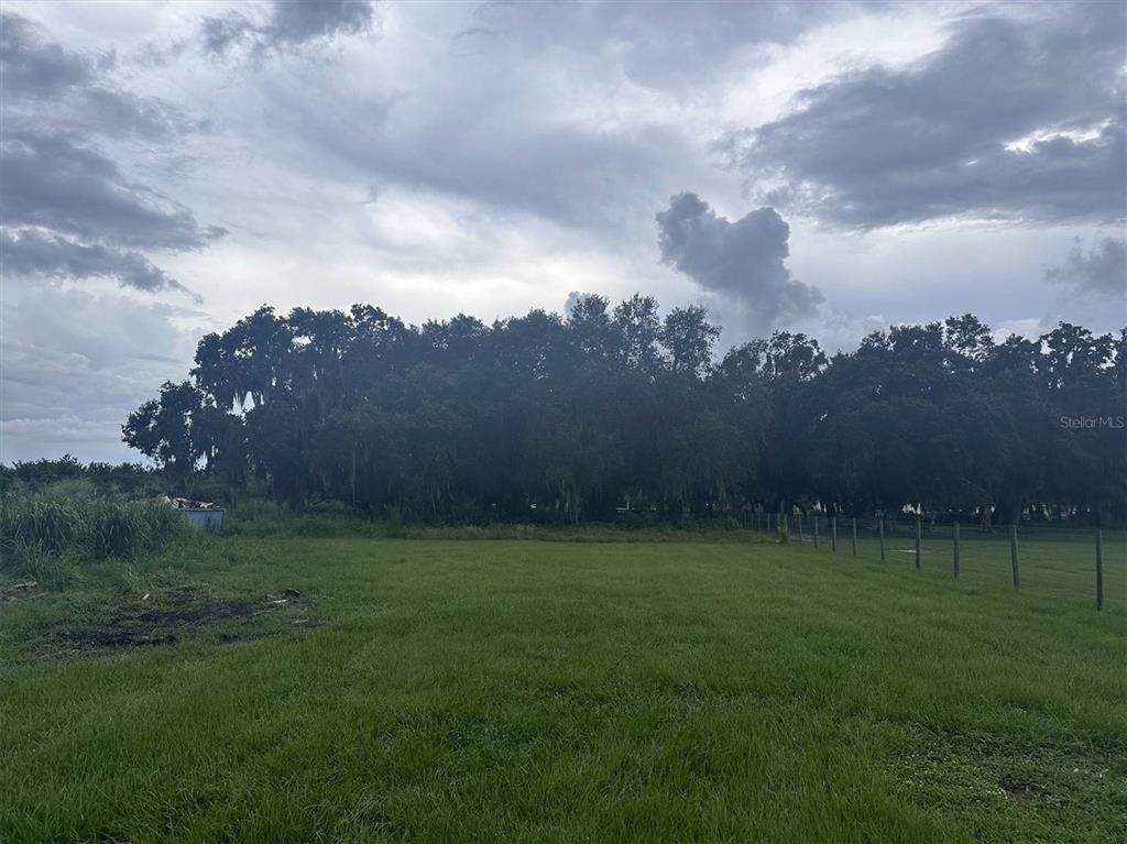 a view of a big yard of grass and a yard