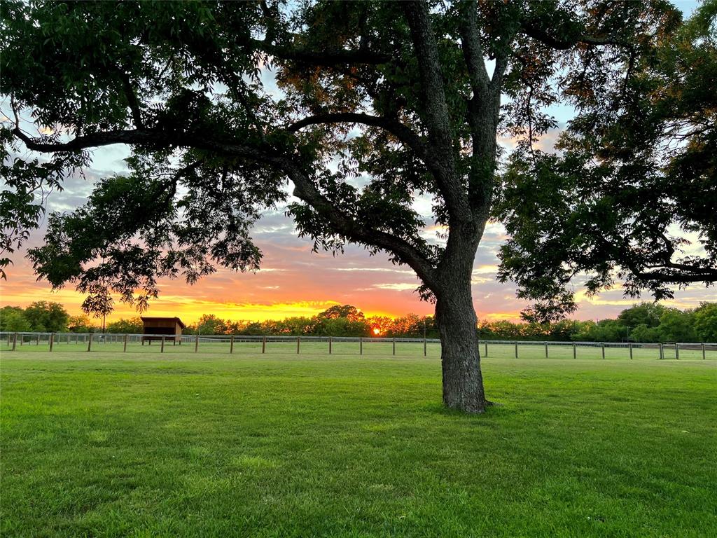 a view of grassy field with grassy area