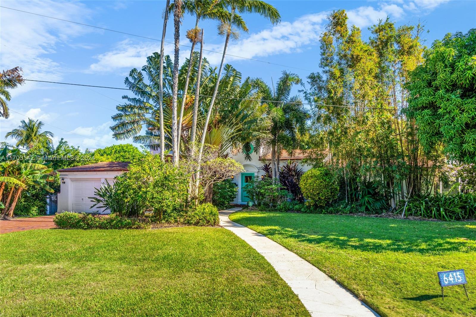 a view of a yard with plants and palm trees