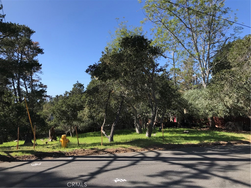 a view of street with tall trees