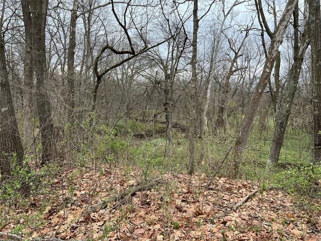 $290,000 | Tract #4 Kinnamon Road | Washington Township - Lafayette County