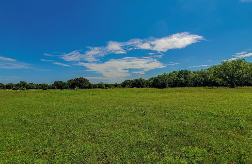 a view of yard with grass and trees