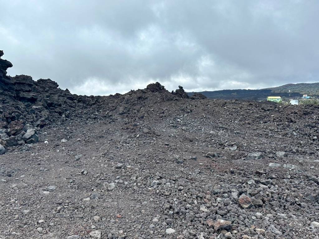 a view of a dry yard