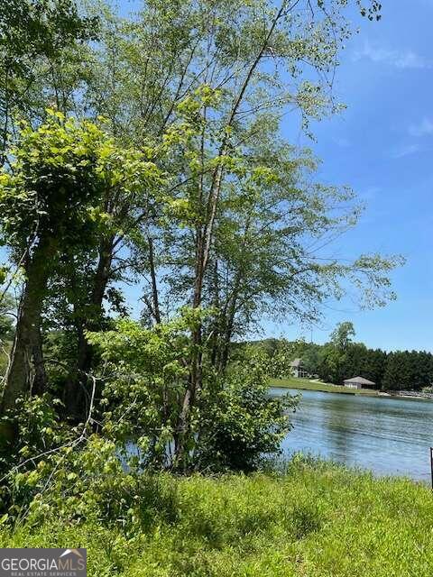 a view of lake with green space